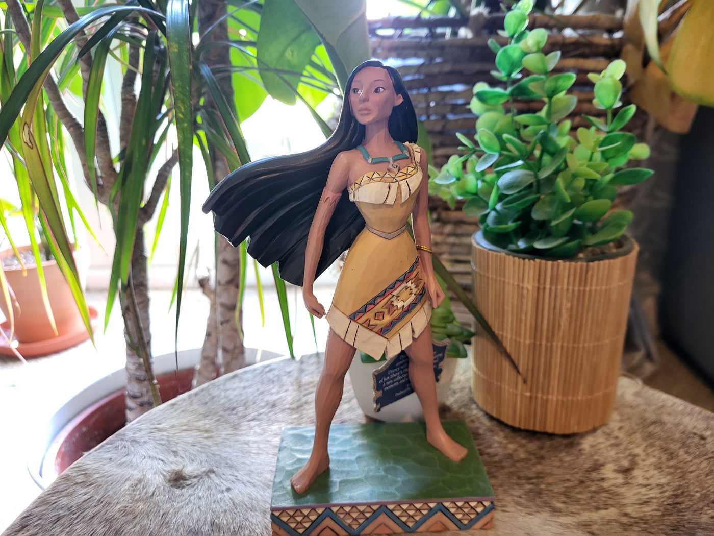 Creating a Pocahontas Display with Earthy Colour and Movement